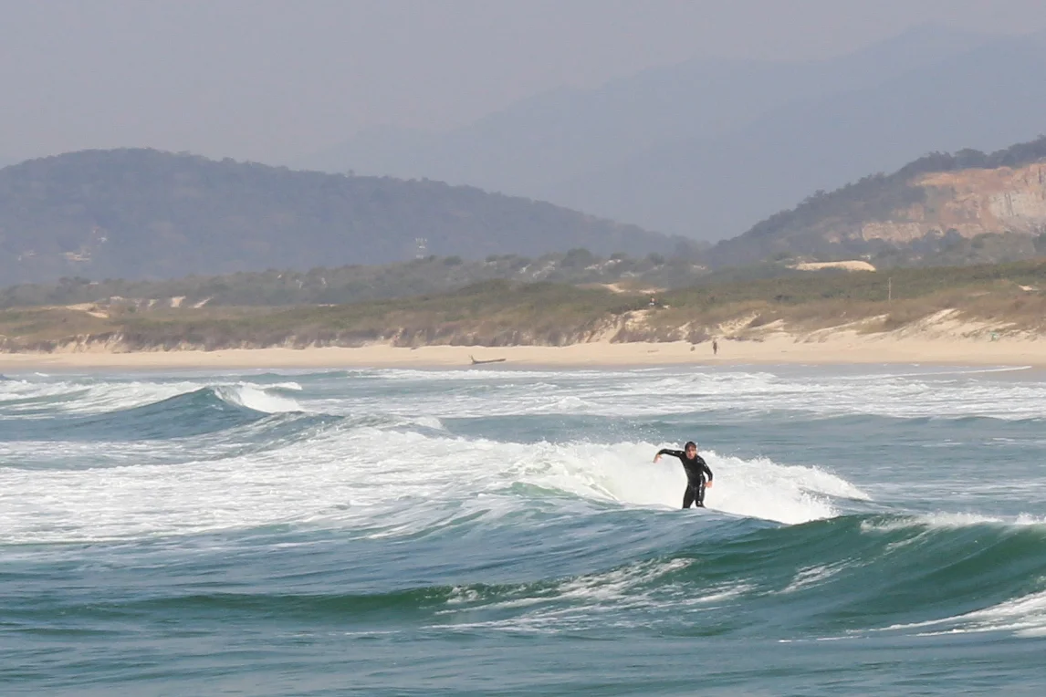 Surf 6